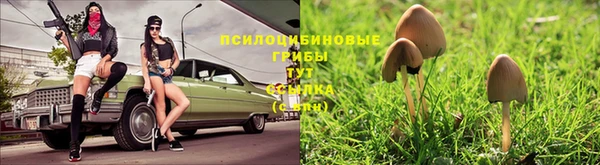 прущая мука Карталы
