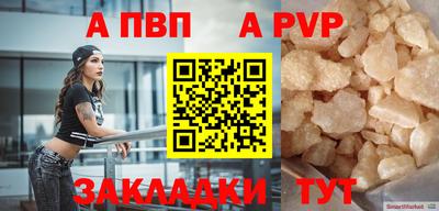 молекула духа Кингисепп